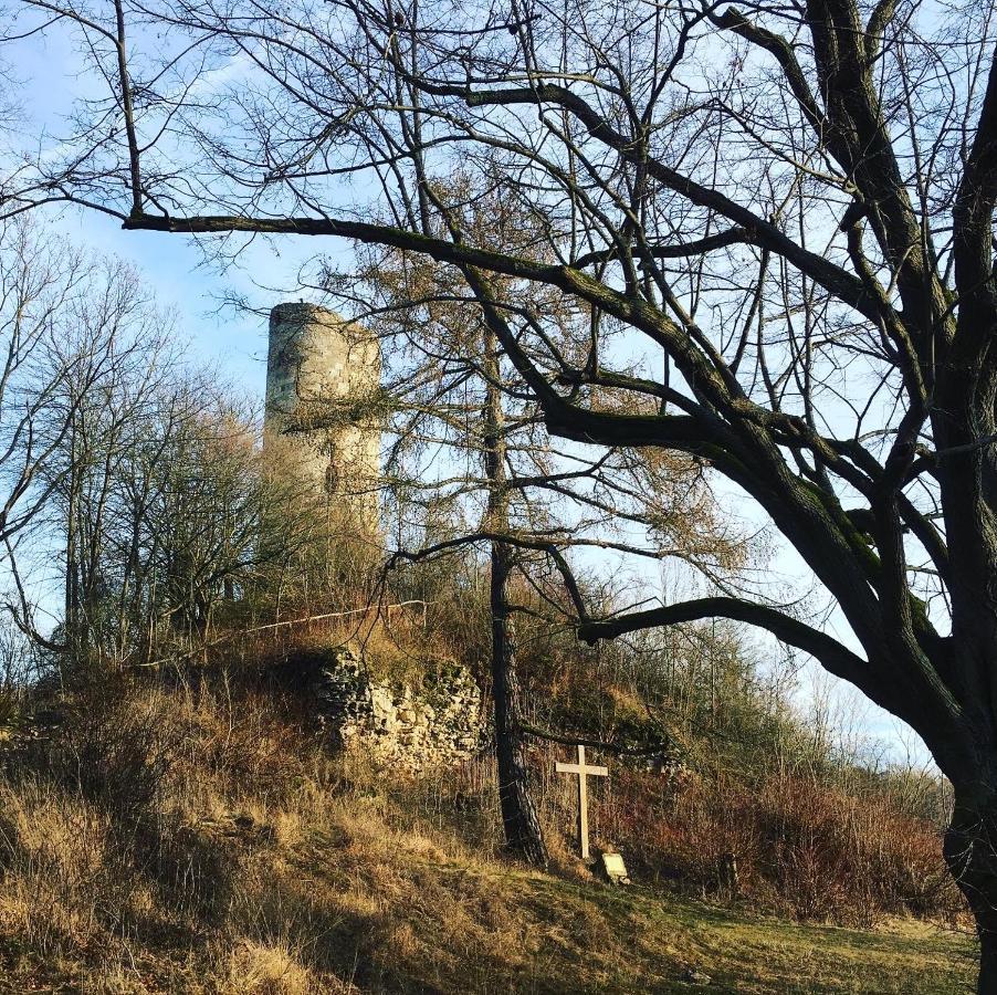 Ferienwohnungen Lausbuben & Zicken - Im Gruenen Herzen Deutschlands Herleshausen Exterior foto